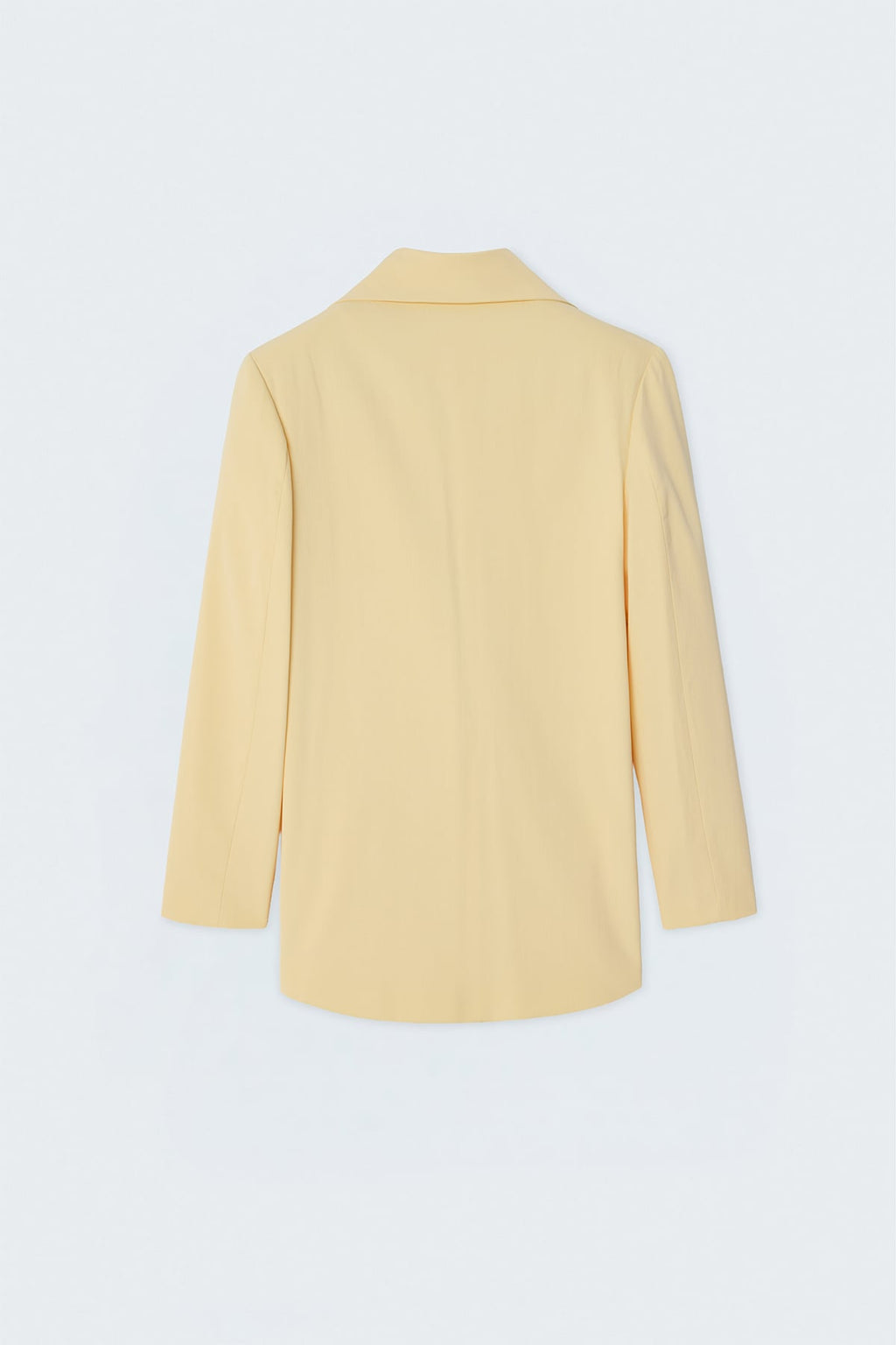 Pastel Sarı Tek Düğmeli Klasik Blazer Ceket